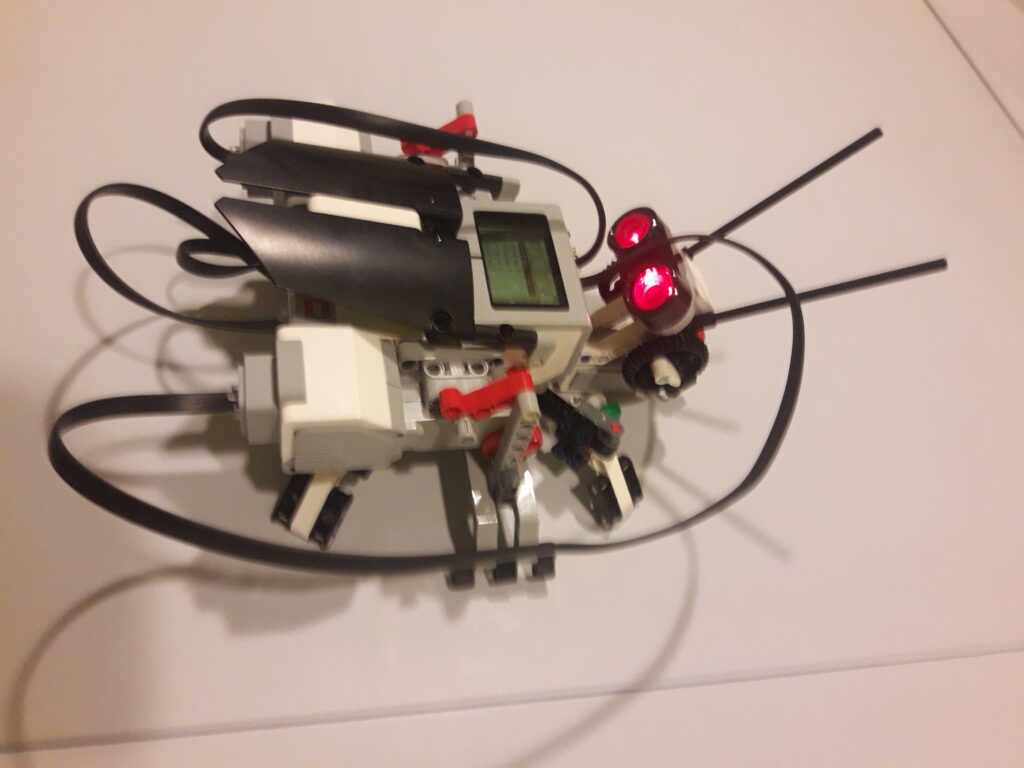 Curs Robotica nivel avansat Inventicum Brașov